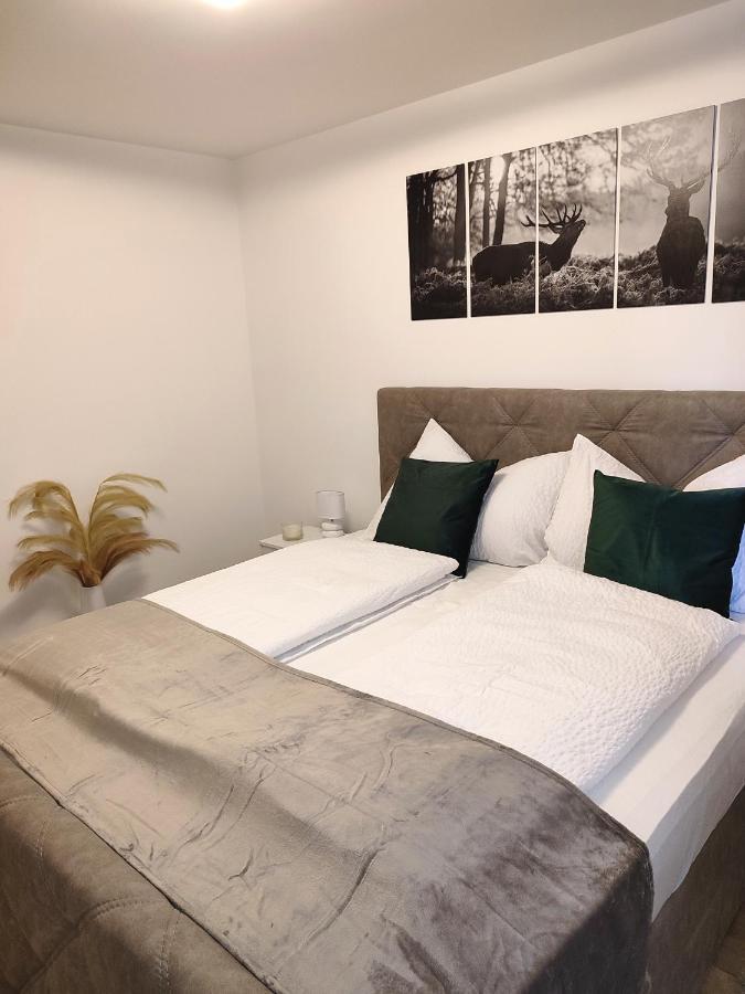 Modern Mountain Apartment - Free Parking & Sauna 上陶恩 外观 照片